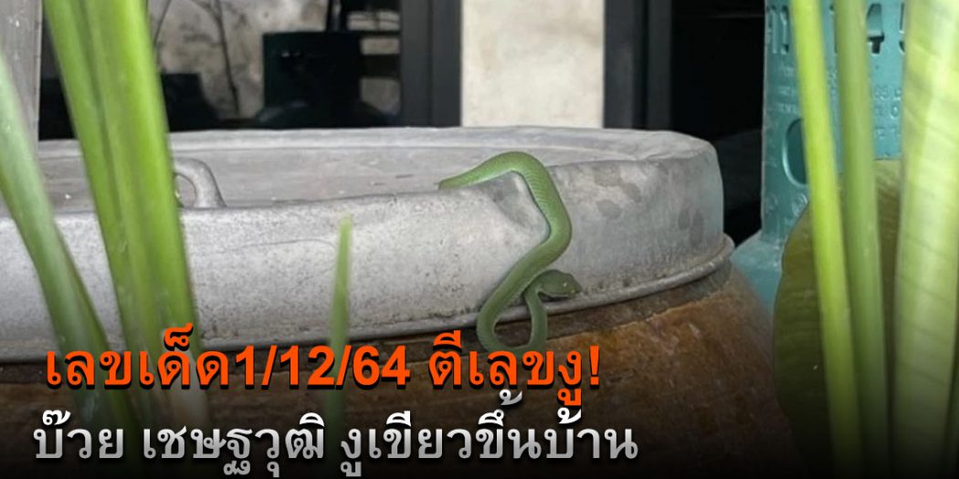 เลขเด็ด1/12/64ตีเลขงู"บ๊วย เชษฐวุฒิ"